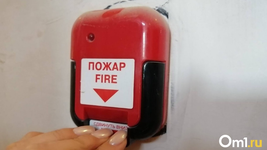 Серийных поджигателей из Новосибирска задержали в Кузбассе