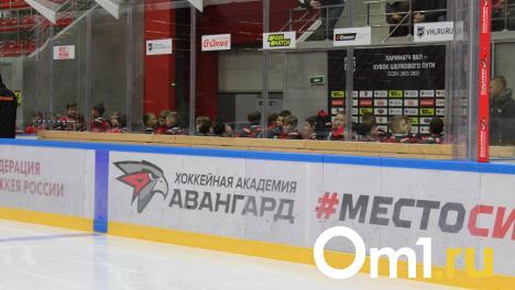 Фарм-клуб омского «Авангарда» может возглавить канадец