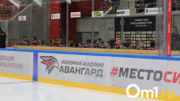 Фарм-клуб омского «Авангарда» может возглавить канадец