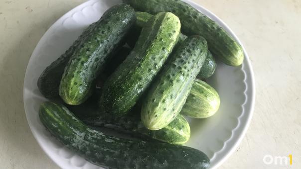 На минералке с газом: необычный и вкусный рецепт приготовления малосольных огурцов