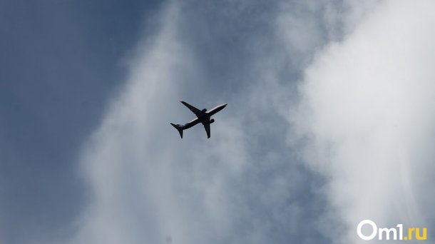 В Омске из-за дождя и сильного ветра задержали несколько самолётов