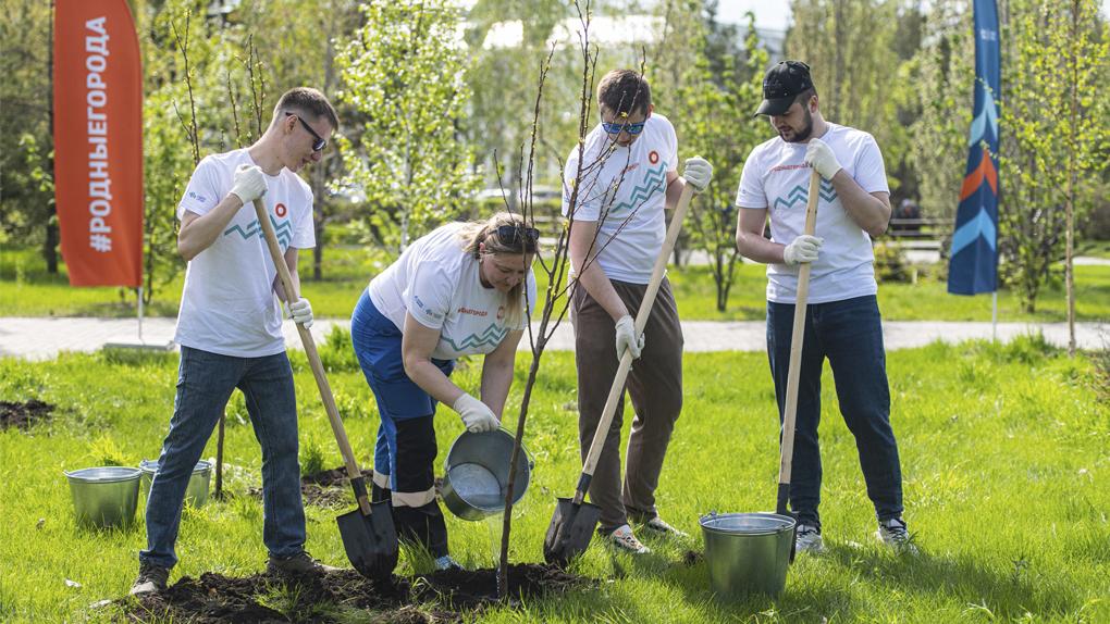 Волонтёры ОНПЗ высадили в центре Омска абрикосовый сад