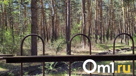 Омичам запретили посещать леса в Называевском районе