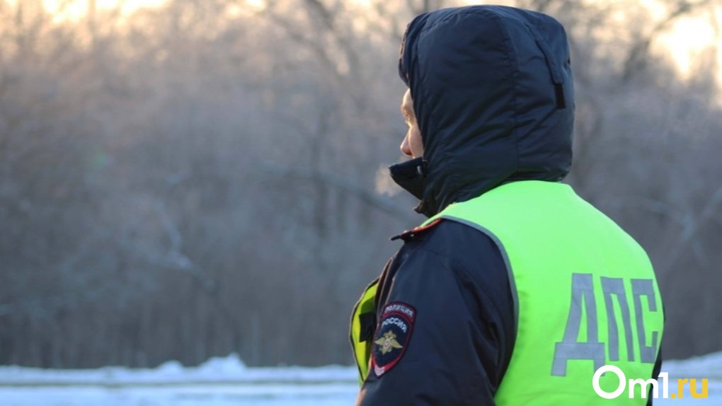 Омские полицейские поймали пьяного водителя на УАЗе
