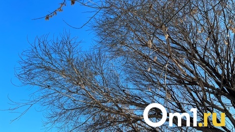 Аномальная оттепель. Омскую область окружил тёплый фронт с плюсовыми температурами