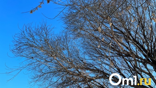 Аномальная оттепель. Омскую область окружил тёплый фронт с плюсовыми температурами