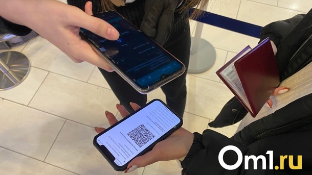 Это бессмысленно? Вирусолог Сергей Нетёсов раскритиковал отмену QR-кодов в Новосибирске