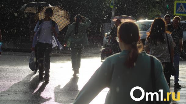 Дожди возвращаются: в начале недели омичей ждут ливни и грозы