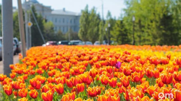 Атмосферный вихрь с пеклом до 40 градусов несётся в сторону Омска