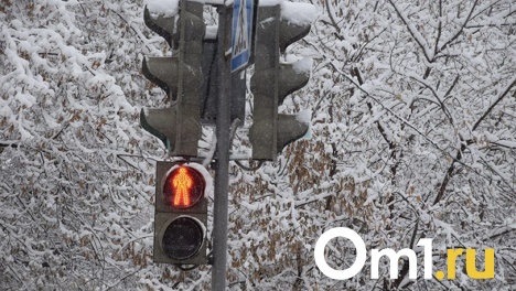 Понадобилась помощь медиков. Омич сбил ребёнка, переходящего дорогу на зелёный свет