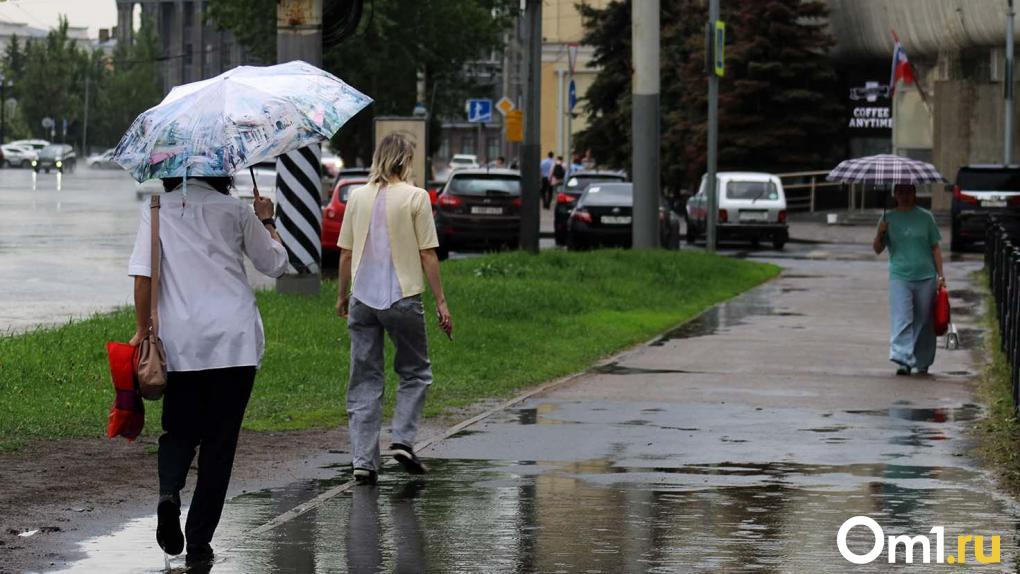 Штормовое предупреждение: на Омск надвигается ливень и крупный град
