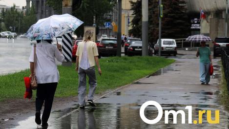 Штормовое предупреждение: на Омск надвигается ливень и крупный град