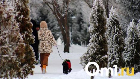 Новосибирцы не получат дополнительный выходной на День защитника Отечества