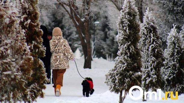Новосибирцы не получат дополнительный выходной на День защитника Отечества