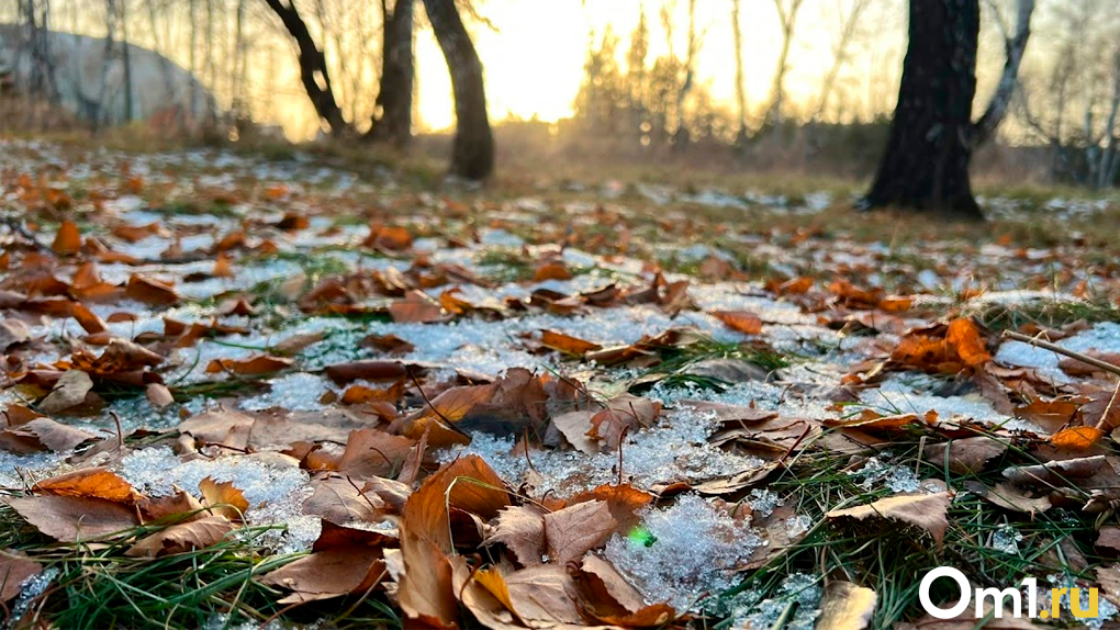 Сильный ветер и метели прогнозируют в Новосибирске в первой декаде ноября