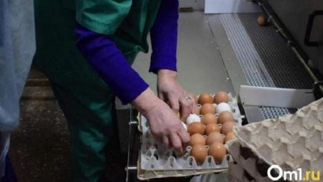 Птицефабрики «замораживают» цены на куриные яйца в Новосибирской области