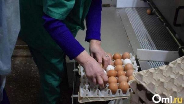 Птицефабрики «замораживают» цены на куриные яйца в Новосибирской области