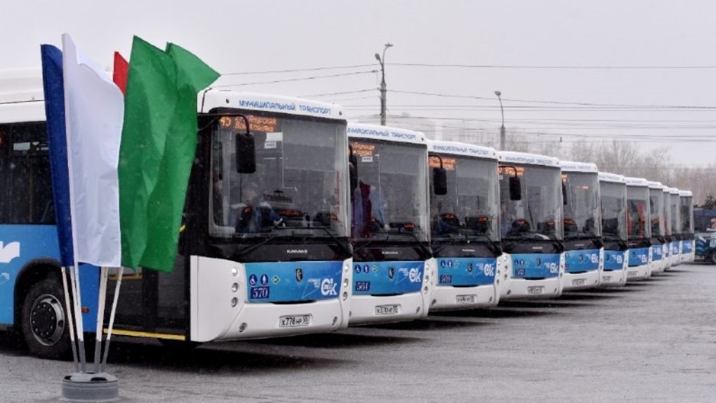 В мэрии Омска рассказали, на каких городских маршрутах будут работать новые комфортабельные автобусы