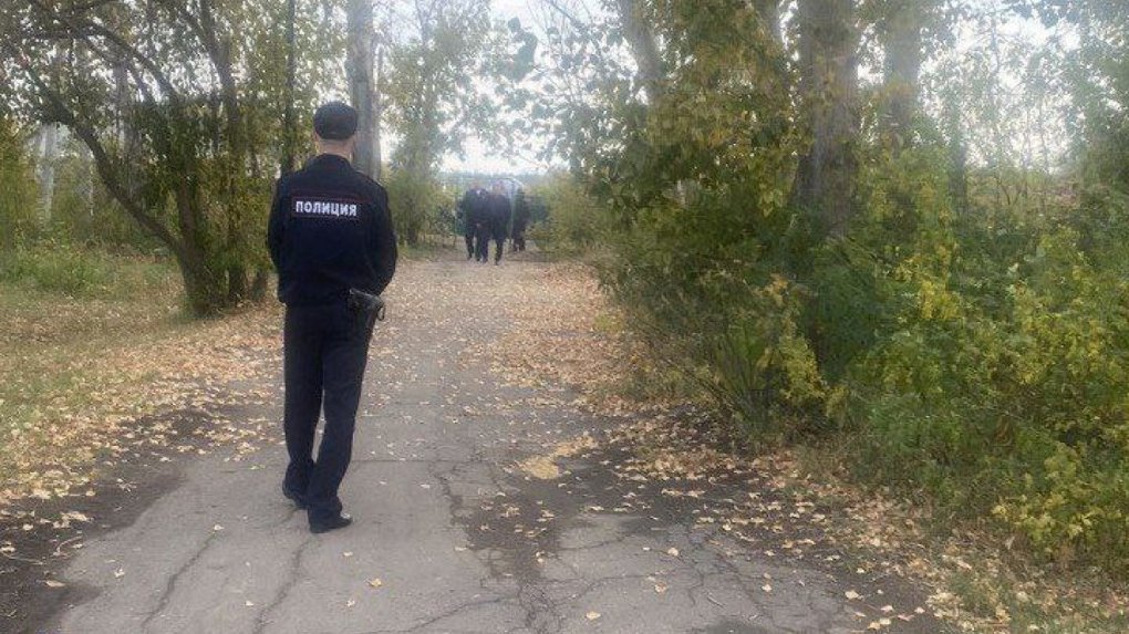 В Омской области женщина нашла новорожденного ребёнка в лесу