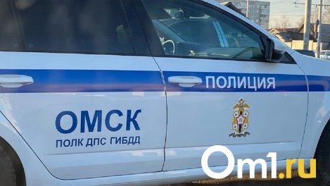 Инспектор ДПС получил удар в пах от омички, которая нарушила правила дорожного движения