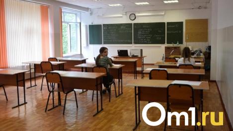 Названы самые дефицитные педагогические вакансии в Омске