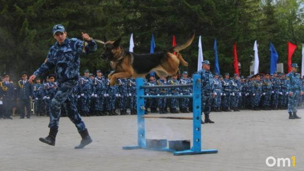 Лучшие четвероногие бойцы Росгвардии получили награды в Новосибирске