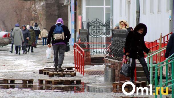 Синоптики назвали дату, когда в Омске потеплеет до плюсовых значений