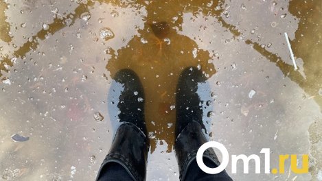 «Подходы затоплены»: омичи пожаловались на огромные лужи, которые не позволяют подойти к школе
