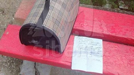 Ребёнок спас кошку от побоев, оставив её на лавочке с запиской в Новосибирске
