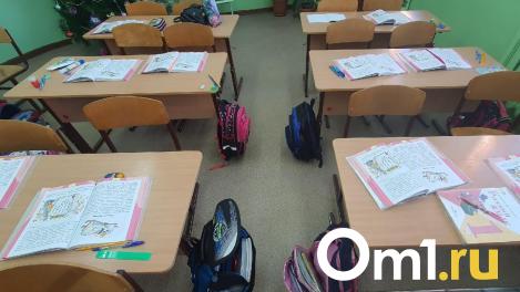 Омский школьник стал «телефонным террористом»