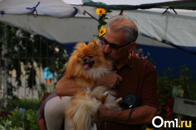 Изображение фоторепортажа