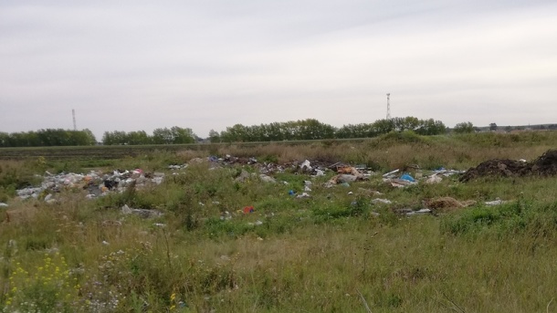 Вместо пастбища - свалка. Омский Россельхознадзор разбирается в причинах разбросанного мусора на 3 га