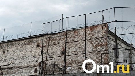 Водителя, который сбил омичку на пешеходном переходе, посадят на 5 лет
