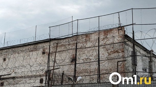 Водителя, который сбил омичку на пешеходном переходе, посадят на 5 лет