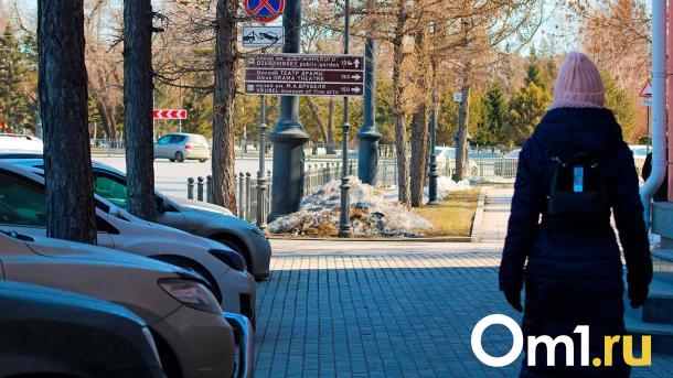 Мэрия хочет ликвидировать нехватку водителей с помощью омичек