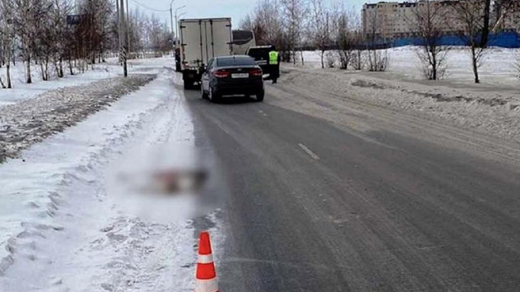 Омский автобус с детьми насмерть сбил косулю, перебегавшую дорогу
