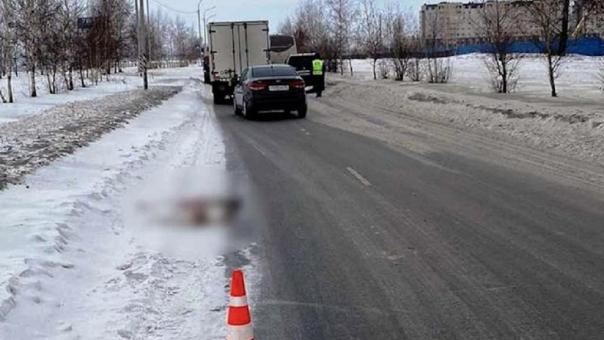 Омский автобус с детьми насмерть сбил косулю, перебегавшую дорогу