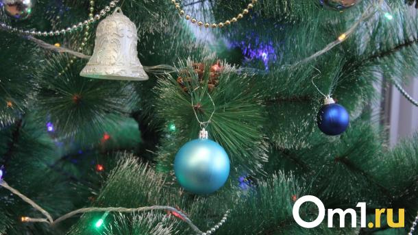 Станет ли 31 декабря официальным выходным: что ждёт новосибирцев в праздники