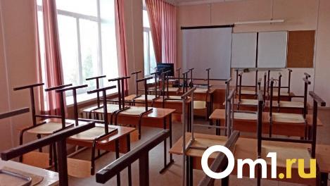 В двух школах Омска сразу после каникул введён дистант