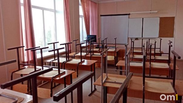 В двух школах Омска сразу после каникул введён дистант