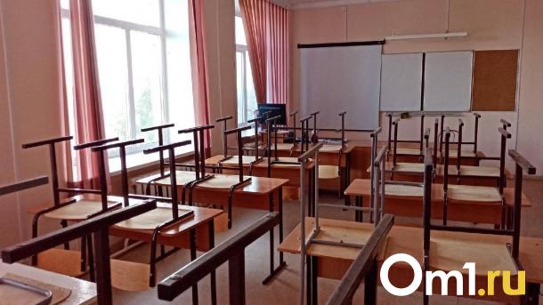 В двух школах Омска сразу после каникул введён дистант