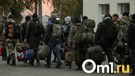 В России рассмотрят законопроект об уголовной ответственности за уклонение от мобилизации или в военное время