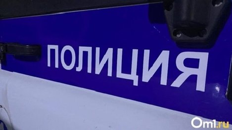 В поджоге могил и разрушении захоронений на кладбище под Новосибирском подозревают 13-летнего подростка