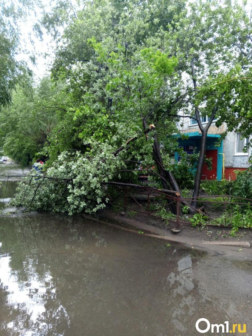 Изображение фоторепортажа