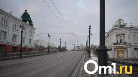 Любинский проспект в Омске в следующем году станет пешеходным