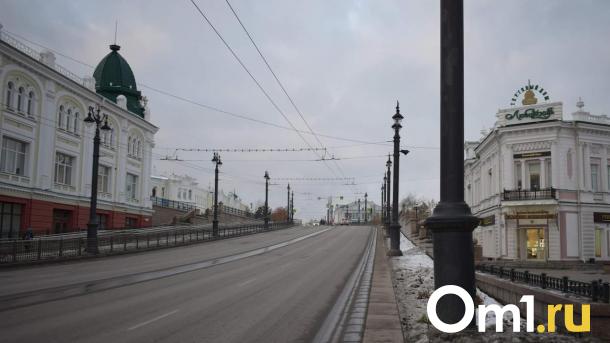 Любинский проспект в Омске в следующем году станет пешеходным