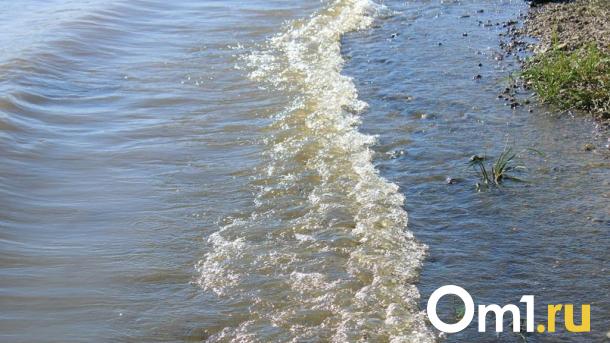 Необычный улов: рыбаки рассказали о неожиданной находке в Омской области