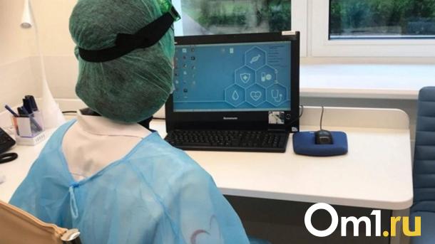 Ловили вчетвером: омич нашёл в квартире смертельно опасного паука