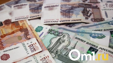 Пособия семьям с детьми и «отцовский капитал»: какие нововведения ждут новосибирцев в мае