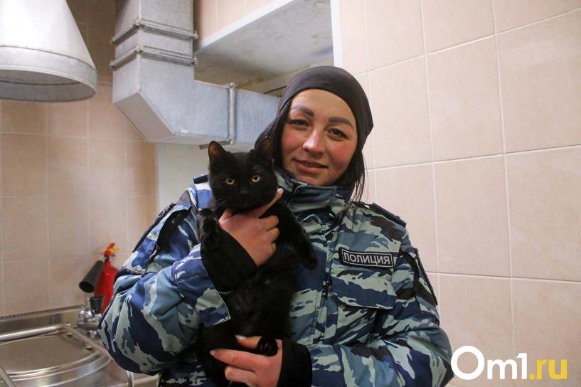 Изображение фоторепортажа